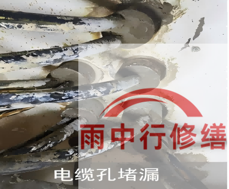 衡水电缆线空洞堵漏加固案例