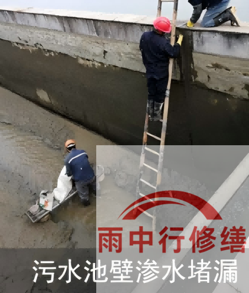 衡水2026年防水龙头半月两次涨价，行业格局重塑信号