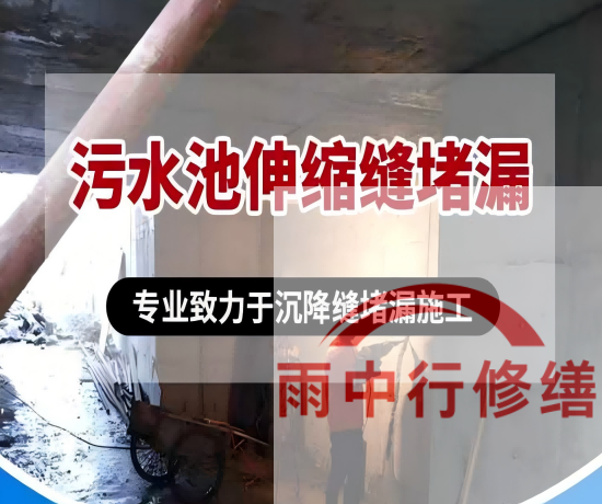 衡水某污水处理厂钢筋混凝土池堵漏案例