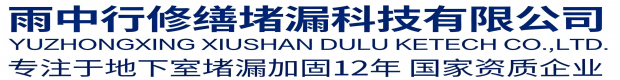 衡水雨中行科技防水堵漏工程有限公司